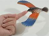 Balancing Bird Toy Pictures