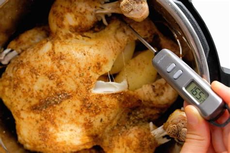 Instant Pot Whole Chicken With Rotisserie Seasoning A Mind Full Mom