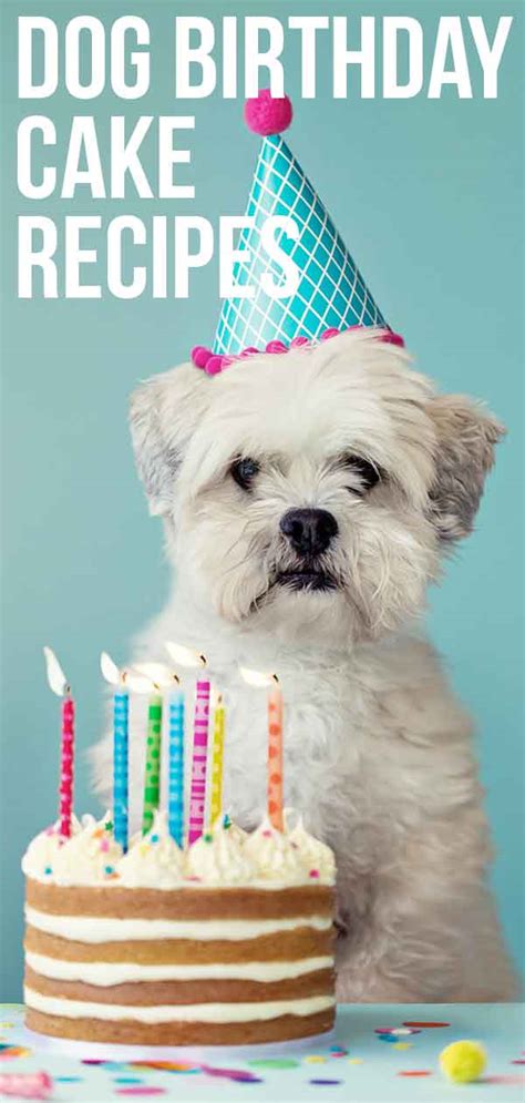 Dog cake recipe for a two layer cake frosted with fluffy frosting made with wholesome dog friendly ingredients! Dog Birthday Cake Recipes For Your Pup's Special Day