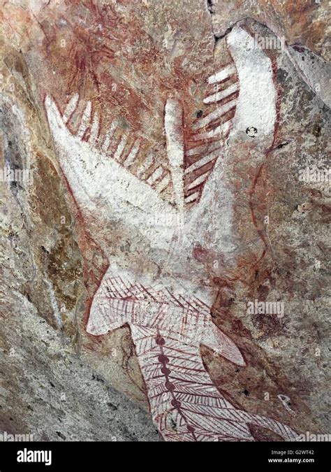 Ancient Aboriginal Cave Paintings Known As Rock Art Found At Mount