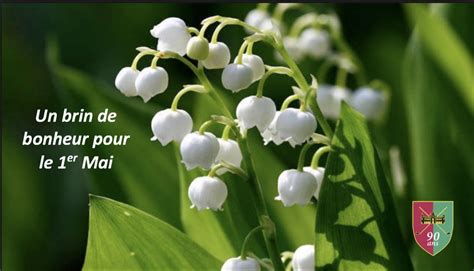 Joyeux 1er mai avec ces quelques brins de muguet. Muguet - Golf de Reims