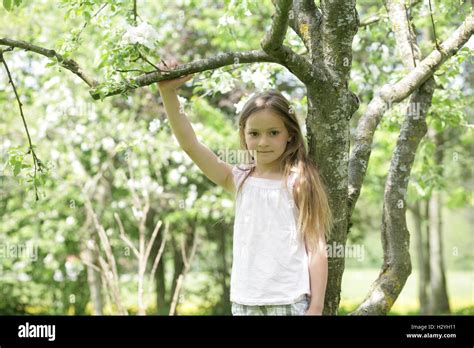 Girl Standing Under A Tree Stock Photo Alamy
