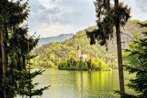 Premium Photo Beautiful Scenery And Church In The Middle Of The Bled