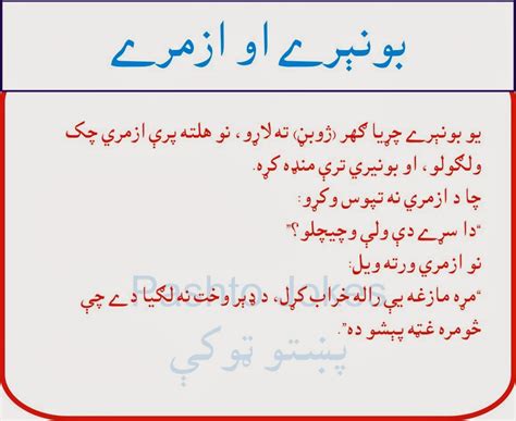 Pashto Jokes Bunerai And Lion New Pashto Latefy