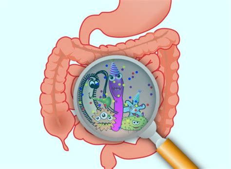 Understanding Gut Microbiota For Your Health