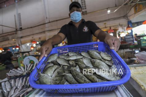 Jelang Imlek, Nelayan Batam Siap Berburu Ikan Dingkis | Republika Online