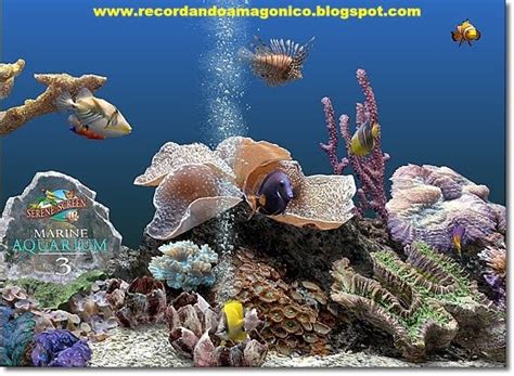 Portable Marine Aquarium Screensaver V31 El Blog De Almar