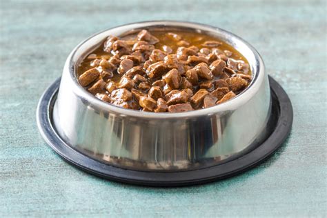 Best Canned Dog Food For Sensitive Stomachs Wet Food For Easier Digestion