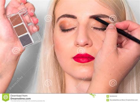 Makeup Artist Paints A Woman Eyebrows Makeup Beauty Concept Stock