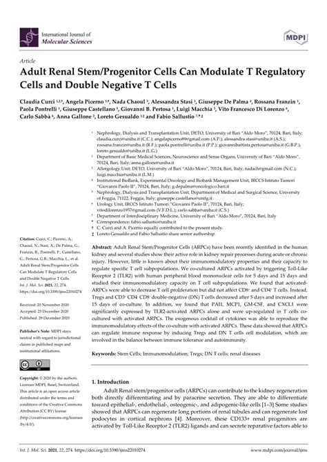 Pdf Adult Renal Stemprogenitor Cells Can Modulate T Regulatory Cells