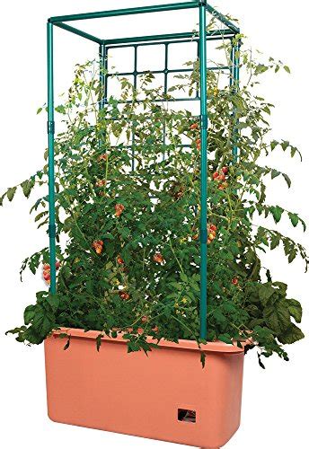 Tomato Trellis Planter Pot W Wheel Plant Support Structure Convenient