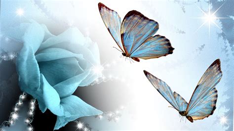 Blue Green Rose And Butterfly Wallpaper