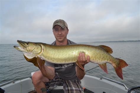 We did not find results for: Great Muskie Fishing!! Are You Ready? - Kevan Paul's Guide ...