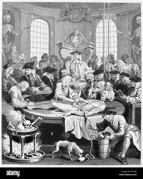 Hogarth Cruelty N The Four Stages Of Cruelty The Reward Of