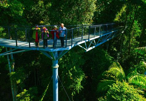 Tamborine Rainforest Skywalk Scenic Rim
