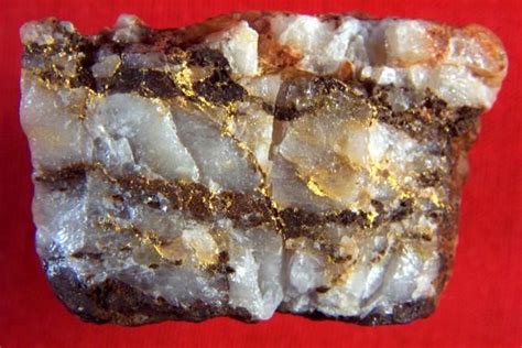 Gold Vein In Quartz Specimen Gold Specimens Minerals And Gemstones