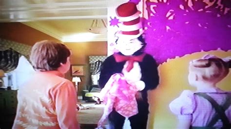 Cat And The Hat Funny Moment Youtube