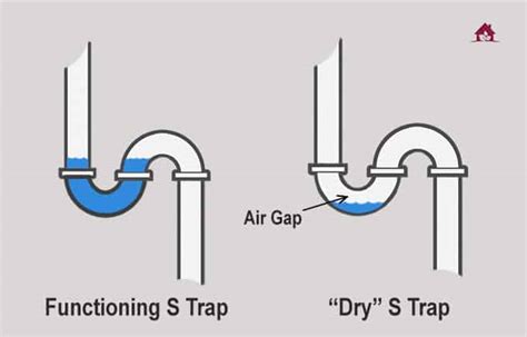 S Trap Vs P Trap Whats The Difference Home And Garden Makeover