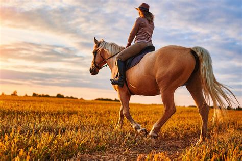A Guide To Horseback Riding In Broken Bow Broken Bow Cabin Lodging