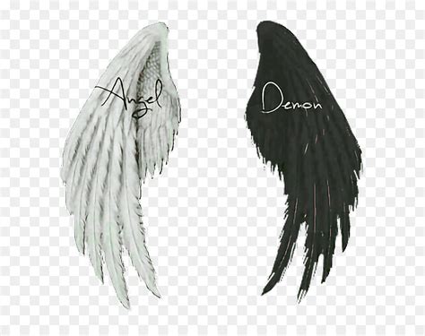 Wings Angel Demon Angel And Demon Wings Hd Png Download Vhv