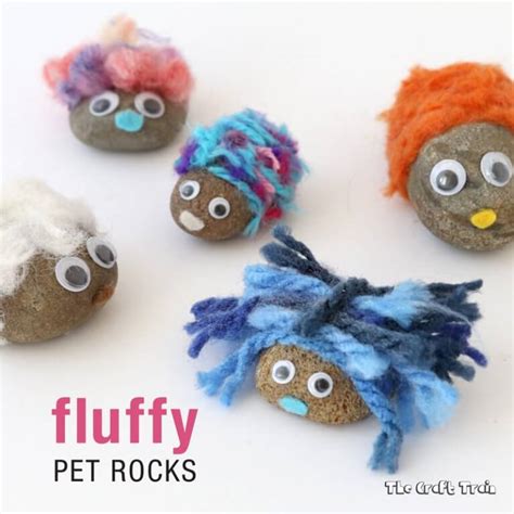 Fluffy Pet Rocks The Craft Train