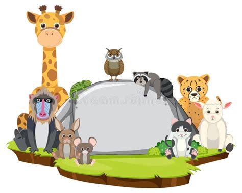 Wild Animals With Blank Board Template Stock Vector Illustration Of