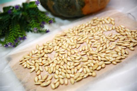 How To Clean Pumpkin Seeds 10 Steps With Pictures Wikihow