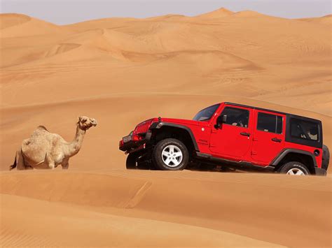 Floral park plumbing heating and cooling. VIP Desert Safari Day - Saudi Safari Tours