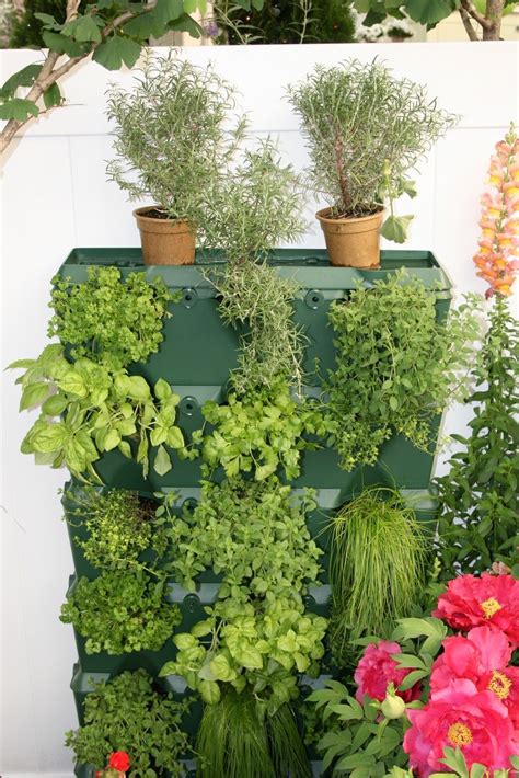 Herbs add a texture, feel and scent to a room or a garden that is unlike any other plant. Garden Ideas Backyard Australian and Garden Boxes. in 2020 | Apartment herb gardens, Backyard ...