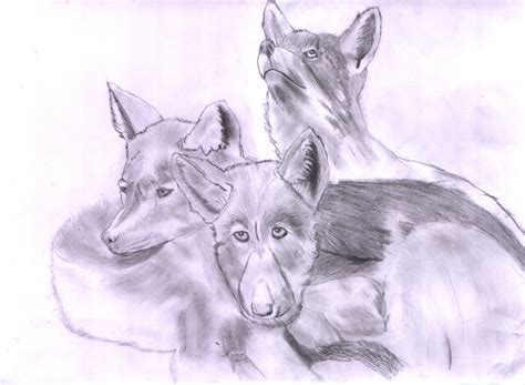 Wolves Puppies Drawing 2 By Outcasttherianthrope On Deviantart