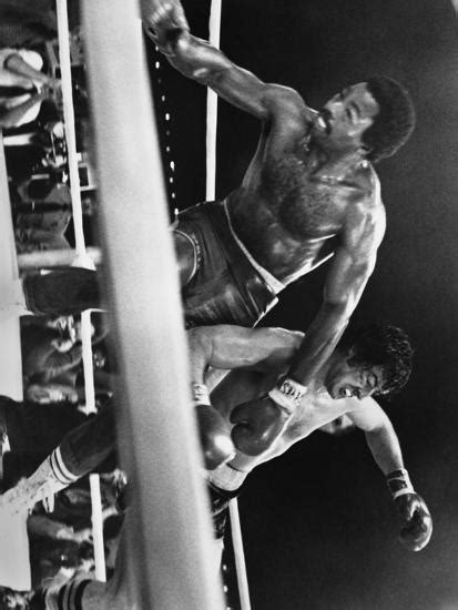 Sylvester Stallone Falling Down On A Boxing Ring Photo By Movie Star