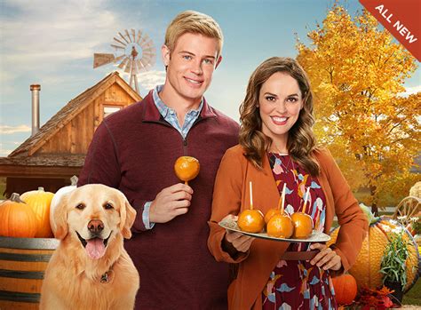 Love Fall And Order Hallmark Channel
