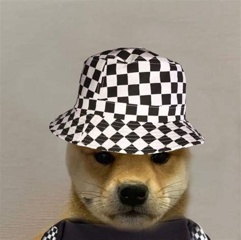 Pin By Stilly On Dog With Hat Dog Icon Dog Images Dog Pictures