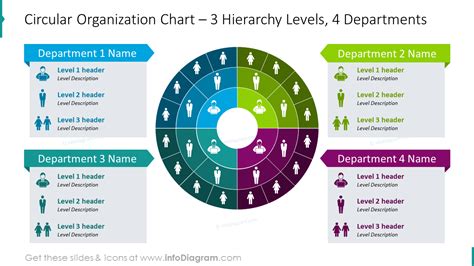 Circular Organization Chart With Three Hierarchy Levels