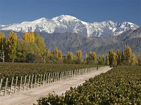 Mendoza Wine Tour In Argentina Responsible Travel
