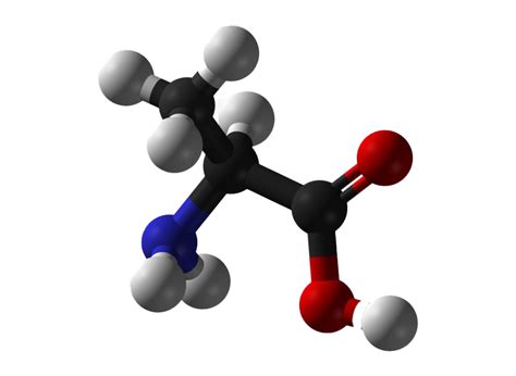 Amino Acid Png All Png All