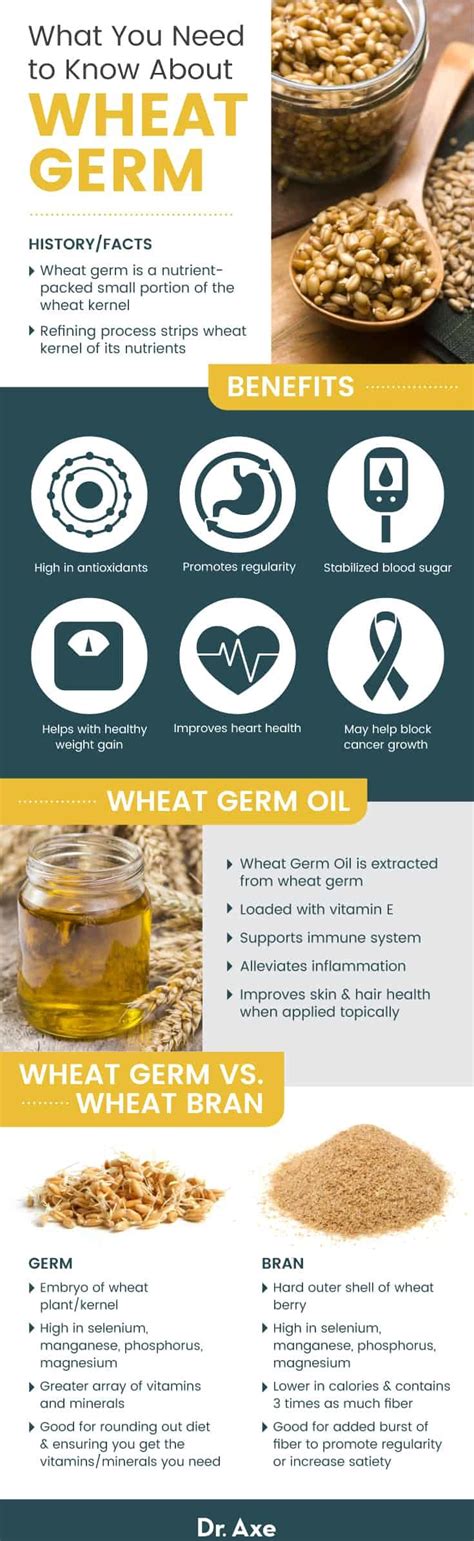 Wheat Germ Benefits Nutrition Recipes And Side Effects Dr Axe