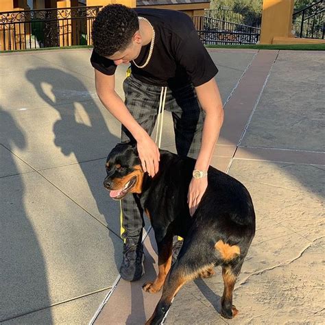 Lamelo, who plays basketball at chino hills, wrote gelo got a ferarri (100 emoji).. LaMelo Ball (@melo) • Instagram photos and videos | Lamelo ...