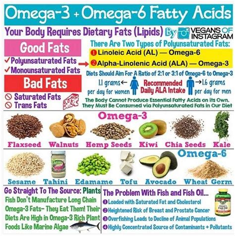 What foods are high in omega 3 ? Vegan Sources Of Nutrients - EVOLVE! Campaigns | Essential ...