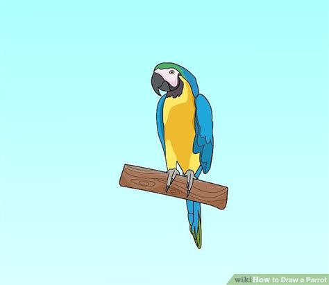 4 Ways To Draw A Parrot Wikihow