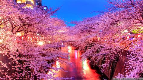Spring In Japan Wallpapers Top Free Spring In Japan Backgrounds