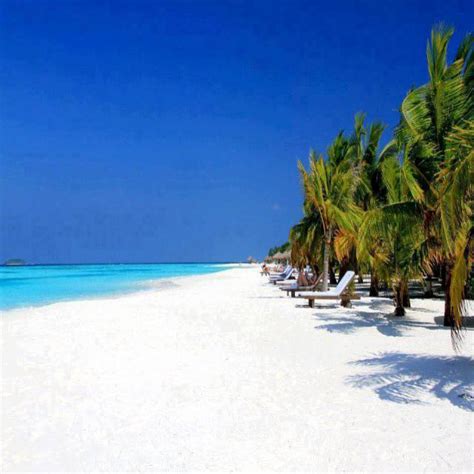 Why The Maldives Most Popular Holiday Destinations In The World Your