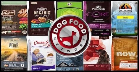 Dogs go through 2 phases in their aging: The 10 Best Senior Dry Dog Food Brands For 2021 - Dog Food ...