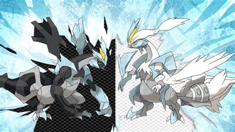 A Picture Featuring The Two New Legendaries For The Next Pokemon Game