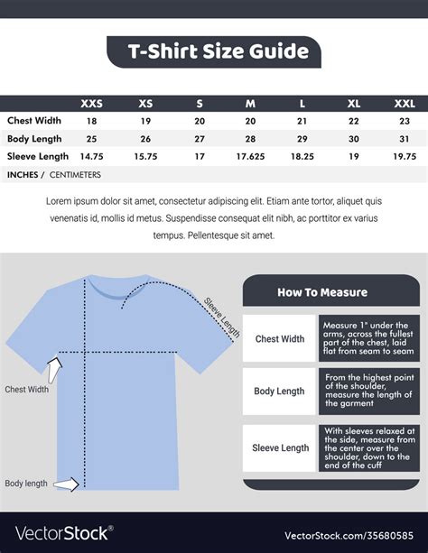 T Shirt Sizes Guide Design Template Royalty Free Vector