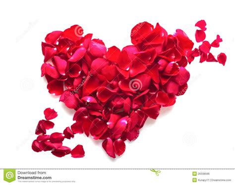 Red Roses Heart Stock Photo Image Of Celebration Icon