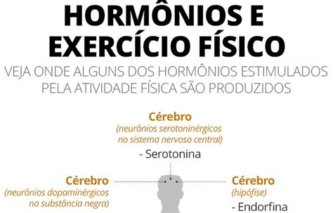 Rotoleq O Que Acontece No Corpo Quando Fazemos Exerc Cio F Sico