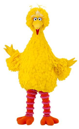 Whats The Word Big Bird Do The Hotpants