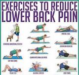 Photos of Low Back Pain Exercises