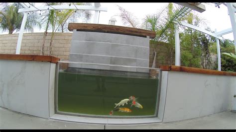 Maintenance chemicals like algaecide and water stabilizers, fish food, aquatic. DIY Koi Pond with lights - YouTube